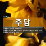 주담 뜻: 어떤 이야기를 임금에게 아룀., 담음의 하나. 술을 많이 마셔서 담이 생기고 구토가 나는 [국어 사전] 주담 뜻: 어떤... 