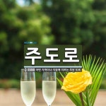 주도로 뜻: 어떤 지역이나 지점에 이르는 주된 도로.