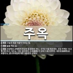 주옥 뜻: 구슬과 옥을 아울러 이르는 말., 술을 파는 집., 국내에서 교배하여 육성한 밤 품종의 하 [국어 사전]