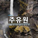 주유원 뜻: 자동차 따위에 기름을 넣는 일을 하는 사람.