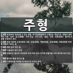 주형 뜻