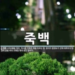 죽백 뜻