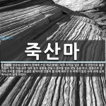 죽산마 뜻