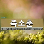 죽소춘 뜻: 음력 8월을 달리 이르는 말. 이때쯤 대나무의 신록이 한창인 데에서 유래한다.