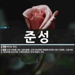 준성 뜻: 뛰어난 명성., 강한 전파를 내는 성운(星雲). 은하 중심핵의 폭발에 의하여 생긴 천체로, [국어 사전]