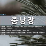 중낭장 뜻: 고려 시대에 둔, 정오품의 무관 벼슬. 장군(將軍)의 아래, 낭장(郎將)의 위로, 각 영( [국어 사전]