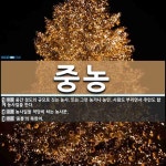 중농 뜻: 중간 정도의 규모로 짓는 농사. 또는 그런 농가나 농민. 사람도 부리면서 주인도 함께 농사 [국어 사전]