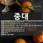 중대 뜻: 발파구멍을 낼 때 아굿대 다음으로 쓰는 정., 소반의 네 다리 중간쯤에 건너지르는 가는 나 [국어 사전]