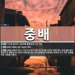 중배 뜻: 기다란 물건의 가운데에 불룩하게 나온 부분., 맏배 다음에 낳은 짐승의 새끼., 삼배(三輩 [국어 사전]