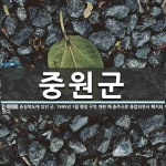 중원군 뜻: 충청북도에 있던 군. 1995년 1월 행정 구역 개편 때 충주시로 통합되면서 폐지되었다.