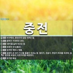 중전 뜻