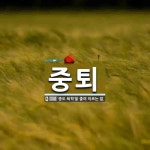 중퇴 뜻: ‘중도 퇴학’을 줄여 이르는 말.