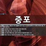 중포 뜻: 장기에서, 포를 궁 자리 옆줄로 넘어 다닐 수 있도록 끝에서 두... 또는 [국어 사전] 중포 뜻: 장기에서, 포를 궁 자리 옆줄로 넘어 다닐 수... 