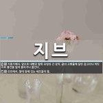 지브 뜻