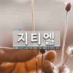 지티엘 뜻