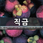 직금 뜻: 남빛 바탕에 은실이나 금실로 봉황과 꽃의 무늬를 섞어 짠 직물. 흔히 스란치마 자락의 끝에
