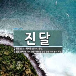 진달 뜻: 말이나 편지를 받아서 올림., 관하(管下)의 공문 서류를 상급 관청으로 올려 보냄. [국어 사전]
