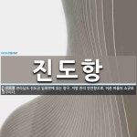 진도항 뜻: 전라남도 진도군 임회면에 있는 항구. 지방 관리 연안항으로, 어촌 마을의 소규모 항구이다.
