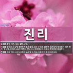 진리 뜻: 참된 이치. 또는 참된 도리., 명제가 사실에 정확하게 들어맞음. 또는 논리의 법칙에 모순 [국어 사전]