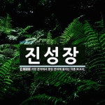 진성장 뜻: 지방 관아에서 중앙 관아에 올리는 각종 보고서.