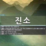 진소 뜻: 빗살이 아주 가늘고 촘촘한 빗., 임금에게 글을 올리던 일. 또는 그 글. 주로 간관(諫官 [국어 사전]
