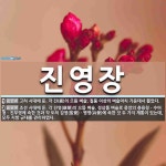 진영장 뜻: 고려 시대에 둔, 각 진(鎭)의 으뜸 벼슬. 칠품 이상의 벼슬아치 가운데서 뽑았다., 조선 [국어 사전]