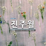 진주월 뜻