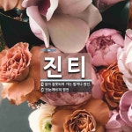 진티 뜻: 일이 잘못되어 가는 빌미나 원인., ‘진눈깨비’의 방언 [국어 사전]