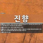 진향 뜻: 풍수지리에서, 집터나 묏자리가 술방(戌方)을 등지고 진방(辰方)을 향하여 앉은 자리. 서북 [국어 사전]