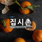 집시촌 뜻: 집시들이 모여 사는 마을.