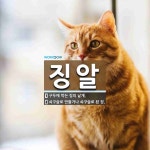징알 뜻: 구두에 박는 징의 낱개., 쇠구슬로 만들거나 쇠구슬로 된 징. [국어 사전]