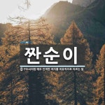 짠순이 뜻: 구두쇠처럼 매우 인색한 여자를 비유적으로 이르는 말.