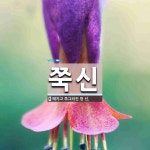 쭉신 뜻: 해지고 쭈그러진 헌 신.
