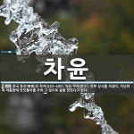차윤 뜻: 중국 동진(東晉)의 학자(330~400). 자는 무자(武子). 이부 상서를 지냈다. 가난하