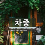 차중 뜻: 시문을 평하는 등급 가운데 넷째 등의 둘째 급., 열차, 자동차, 전차 따위의 안. [국어 사전]