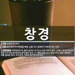 창경 뜻: 창문에 단 유리., 물속에서 무자맥질할 때에, 눈을 뜨고 살펴보기 위하여 쓰는 안경., 까 [국어 사전]