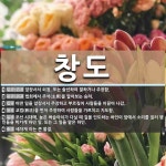 창도 뜻: 앞장서서 외침. 또는 솔선하여 말하거나 주장함., 법회에서 주석(主席)을 맡아보는 승려., [국어 사전]