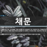 채문 뜻