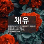 채유 뜻