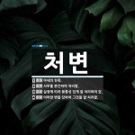 처변 뜻: 아내의 친족., 사무를 분간하여 처리함., 실정에 따라 융통성 있게 잘 처리하여 감., 어 [국어 사전]