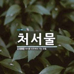 처서물 뜻