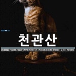 천관산 뜻: 전라남도 장흥군 관산읍에 있는 산. 전라남도의 도립 공원이다. 높이는 723미터.