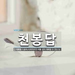 천봉답 뜻: 빗물에 의하여서만 벼를 심어 재배할 수 있는 논.