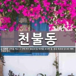 천불동 뜻: 암벽을 파고 그 안에 여러 불상과 탑 따위를 조각한 절. 중국 육조와 당나라 때에 성행하였