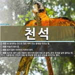 천석 뜻: 하늘이 내려 줌.