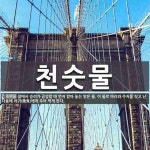천숫물 뜻: 절에서 승려가 공양할 때 먼저 받아 놓는 맑은 물. 이 물로 바리와 수저를 씻고 난 다음에