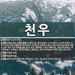 천우 뜻: 많은 근심과 걱정., 하늘솟과의 곤충을 통틀어 이르는 말. 몸의 길이는 수 mm에서 15c [국어 사전]