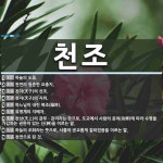 천조 뜻: 하늘의 도움., 천연의 험준한 요충지., 천자(天子)의 선조., 천자(天子)의 지위., 하 [국어 사전]
