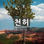 천허 뜻: 천자(天子)의 허락., 제 마음대로 허가함. [국어 사전]