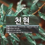 천현 뜻